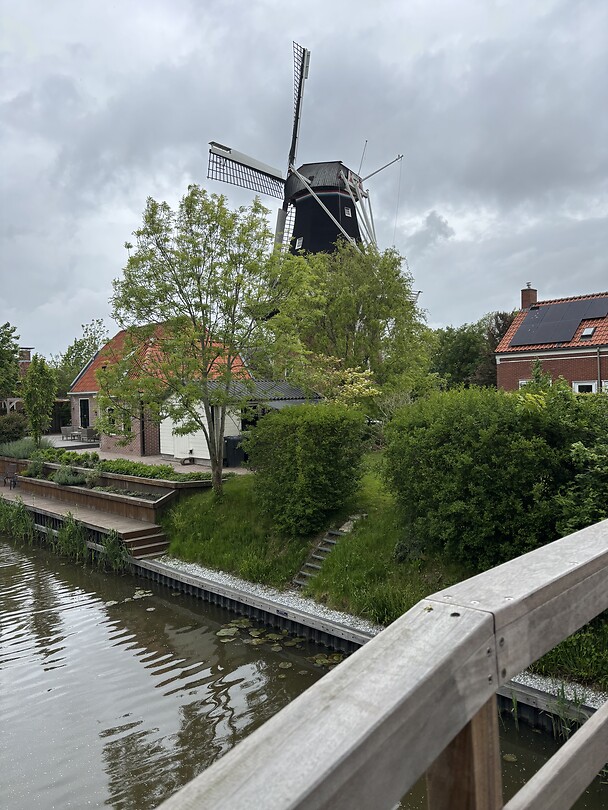 IMG_7616