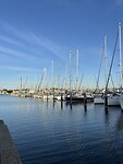 IMG_7887