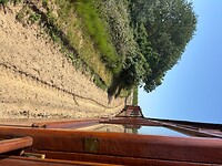 IMG_7952