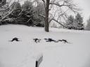 Snow angels!