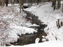 little creek (still flowing)