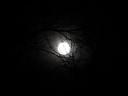 Full moon!