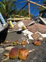 Results of a hurricane last year