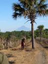 countryside at Puerto Viejo, volcano in background