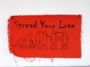 Spread Your Love - Korakor