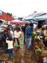 Local market @ San Cristobal