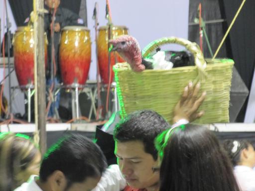 Wedding at Texcoco, something with a turkey-dance