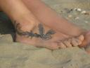 After! my Quetzal