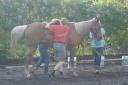 Me and Gabi working with Vicente (cerebral palsy)