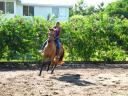 Riding horseback with Mari