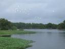 80% of the state Tabasco was flooded!