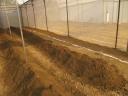 Inside the green houses at Tashirat