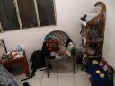 My room now at the volunteer house