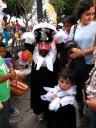 Ximena and her brother Nico as Chinelos