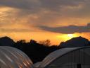 Sunset seen from the green houses