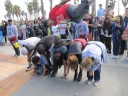 Awesome performance at Venice Beach, here the final act