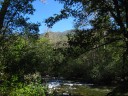 Little creek in Red Oak Forest, at the campground