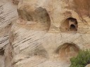 Rock dwellers, Canyon de Chelly (North rim)