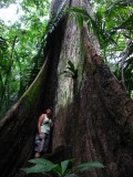 my BIG friend - many HUGE encounters during our Jungle trip :-)