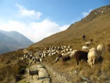Tantamayo - fellow travelers on the hike back from visiting the ruins of Japallan