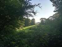 IMG_20190723_075140