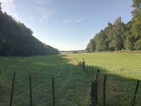 IMG_20190723_084955