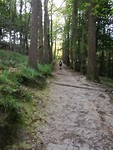 IMG_20190723_080559