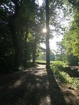 IMG_20190723_074215