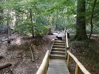 IMG_20190723_093934