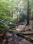 IMG_20190723_093943