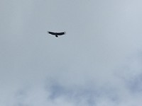 IMG_20190827_154110