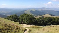 VID_20190828_130003