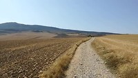 VID_20190831_115518