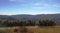 VID_20190928_134508