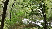 VID_20191005_110134