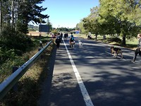 IMG_20191010_131714