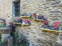 IMG_20191010_110840