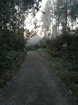 IMG_20191011_085500