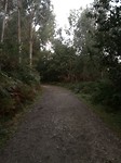 IMG_20191011_084957