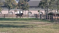 VID_20200919_103655