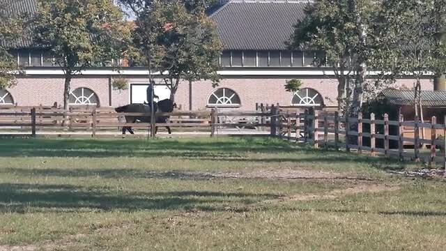 VID_20200919_103655