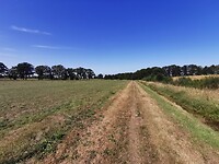 IMG_20200920_133417