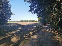 IMG_20200920_104337