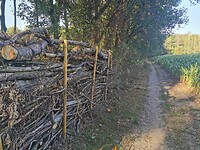 IMG_20200920_093648