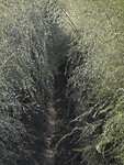 IMG_20200920_090519