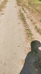 VID_20200920_132521