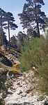 VID_20230502_114927