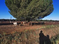 IMG_20230507_083934