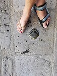 IMG_20230510_174648