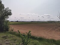 1683796218016